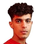 Ziad Tarek