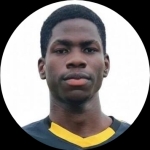 Onaopemipo Omosebi