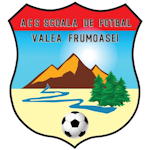 ACS Școala de Fotbal Valea Frumoasei II