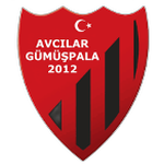 Avcılar Gümüşpalaspor