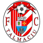 AFC Tălmaciu U19