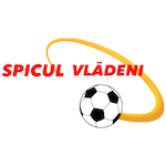 Spicul Vlădeni
