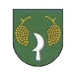 FK Sparta Košolná