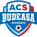 ACS Budeasa Academie