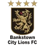 Bankstown City FC U23