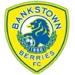Bankstown Berries U20