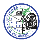 GD Santo Amaro U17