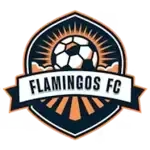 Flamingo FC