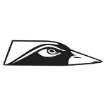 Collingwood City FC