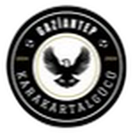 Karakartalgücü
