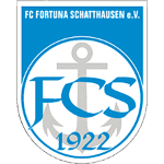 SpG Schatthausen 1/​Baiertal 2