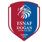 Yenişehir Esnaf Doğanspor