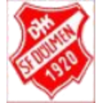 DJK SF Dülmen III (9er)