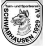 TSV Schwabhausen II