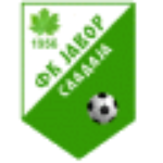 FK Javor Sladaja