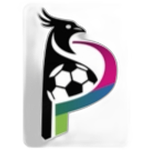 Palladio FC
