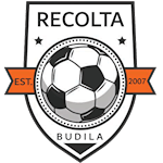 AS Recolta Budila