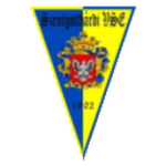 Szentgotthárdi VSE