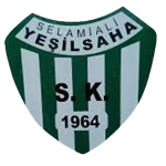 Selami Ali Yeşil Sahaspor