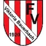 FV Bauerbach