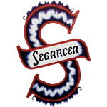 CS Progresul Segarcea