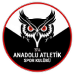 Anadolu Atletik 1914 SK