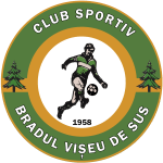 CSO Bradul Vişeu