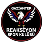 Reaksiyon Spor Kültür Sanat