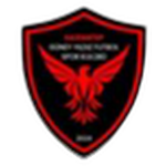 Güney Yıldız Futbol SK