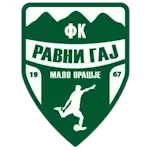 FK Ravni Gaj Malo Orašje