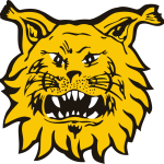 Ilves/FL Vihreä
