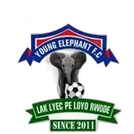 Young Elephant