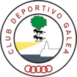 Galea