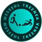 Meseșul Treznea